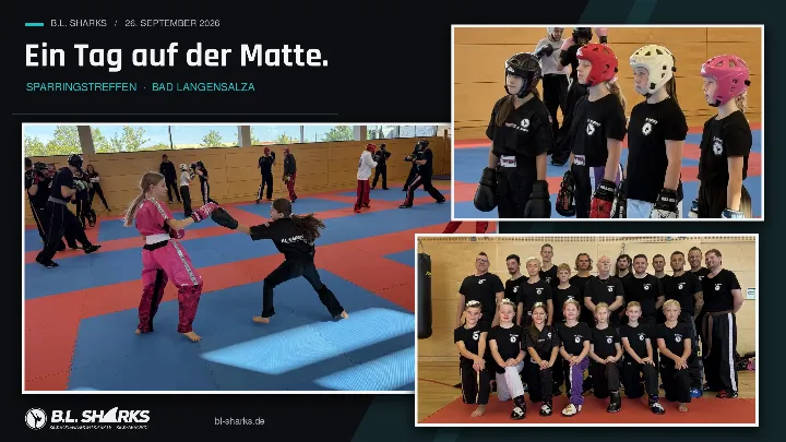 Sparringstreffen 26.09.2026, Collage: Zwei Mädchen im Pratzentraining, vier Nachwuchssportlerinnen mit Kopfschutz und ein Gruppenfoto des B.L. Sharks Teams