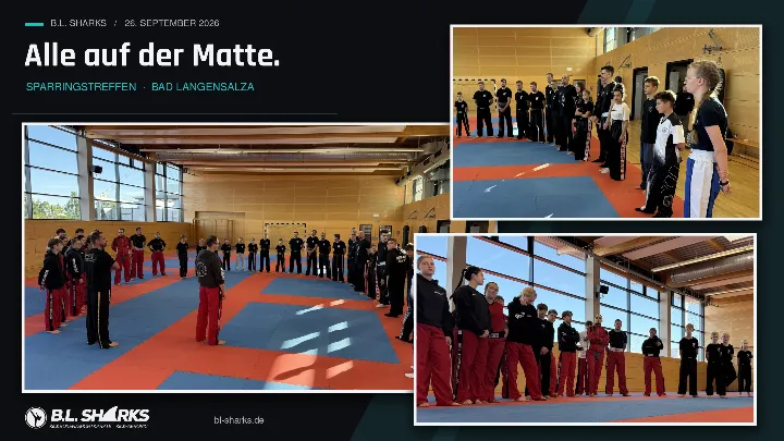 Sparringstreffen 26.09.2026, Collage: Alle Teilnehmenden stehen im großen Kreis auf der Matte, Nahaufnahmen der Reihen