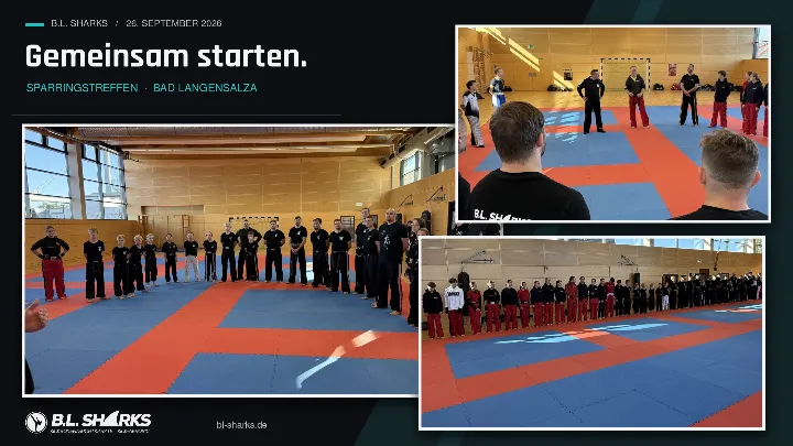 Sparringstreffen 26.09.2026, Collage: Begrüßung: Die Teilnehmenden stellen sich in einer langen Reihe in der Halle auf