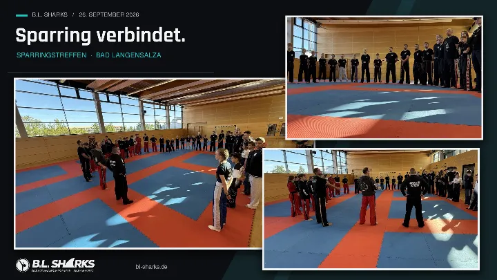 Sparringstreffen 26.09.2026, Collage: Kreis aller Teilnehmenden in der sonnigen Halle, Trainer in der Mitte