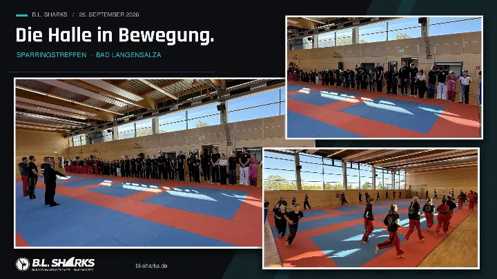 Sparringstreffen 26.09.2026, Collage: Aufstellung und Verbeugung zu Beginn, danach Aufwärmen im Laufen