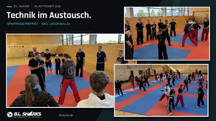 Sparringstreffen 26.09.2026, Collage: Trainer erklären Techniken im Kreis, danach Partnerübungen auf der ganzen Matte