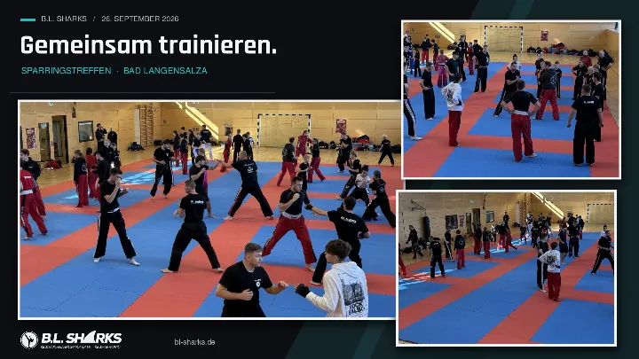 Sparringstreffen 26.09.2026, Collage: Viele Paare üben gleichzeitig Techniken auf der Matte