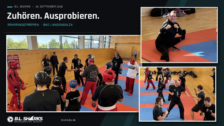 Sparringstreffen 26.09.2026, Collage: Trainer gibt einer Gruppe mit Kopfschutz Anweisungen, Partnerübungen und ein Trainer im Spagat